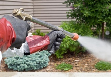 مكافحة الذباب