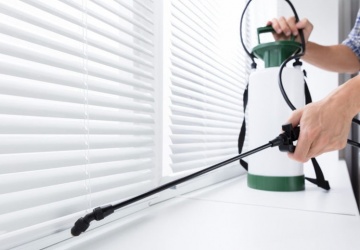 ابادة الحشرات