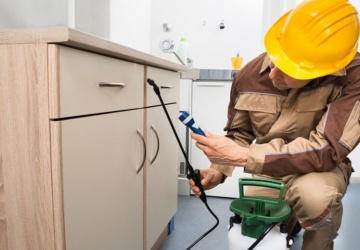 مكافحة الفئران