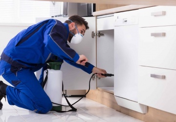 مكافحة الابراص