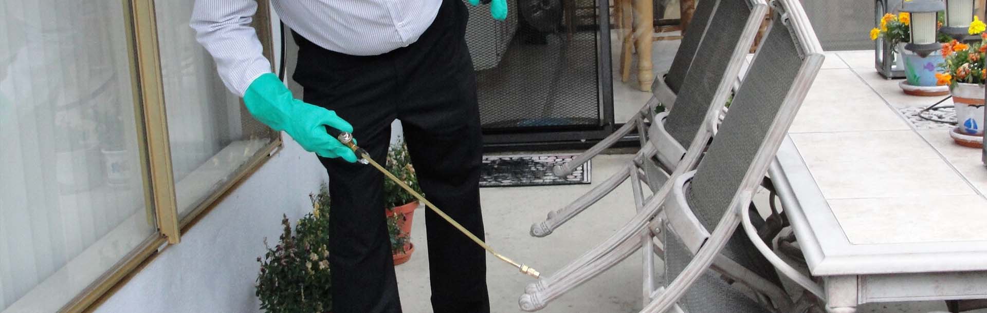 افضل شركة ابادة حشرات بمصر