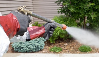 مكافحة الذباب