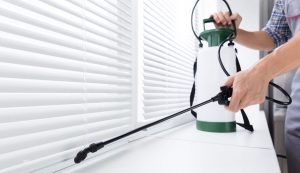 ابادة الحشرات