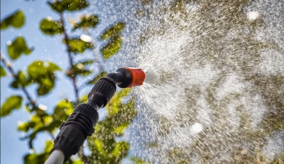 مكافحة الناموس