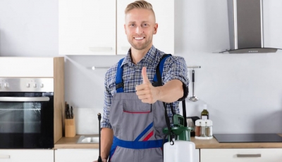 ابادة السوس